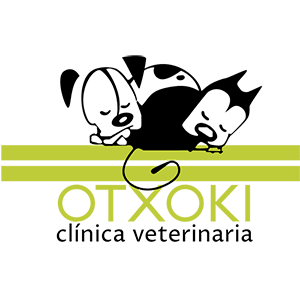 OTXOKI