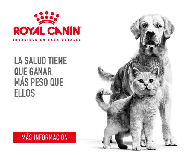 Otxoki clínica veterinaria en Donostia